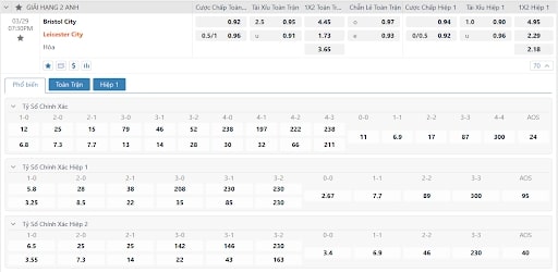 Bảng cược trận đấu của Bristol City vs Leicester City